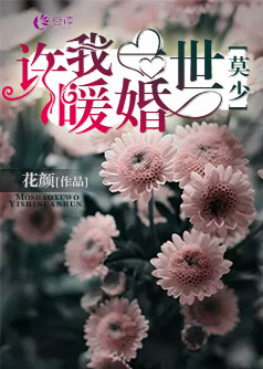 莫少，许我一世暖婚【完本】